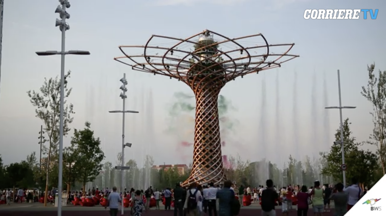 I 100 giorni dell’Albero della Vita di Expo 2015