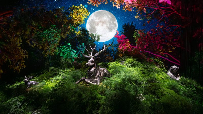 Naturalia - A Buccellati Exhibition I Milano Design Week: Milan, Italy, 2025 - Exhibitions and Installations