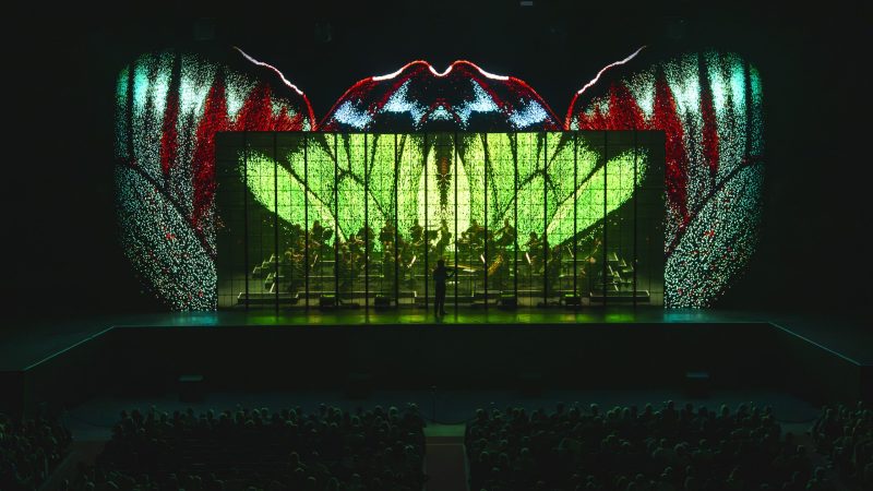 Viva Vivaldi | The Four Seasons Immersive Concert | Third Edition: , - Immersive Shows